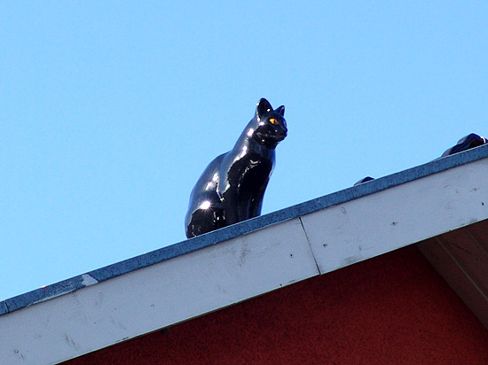 Firstfigur Katze